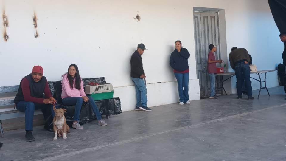 Favorece gobierno de Sonora salud de animales con jornada de esterilización en municipio de Arizpe